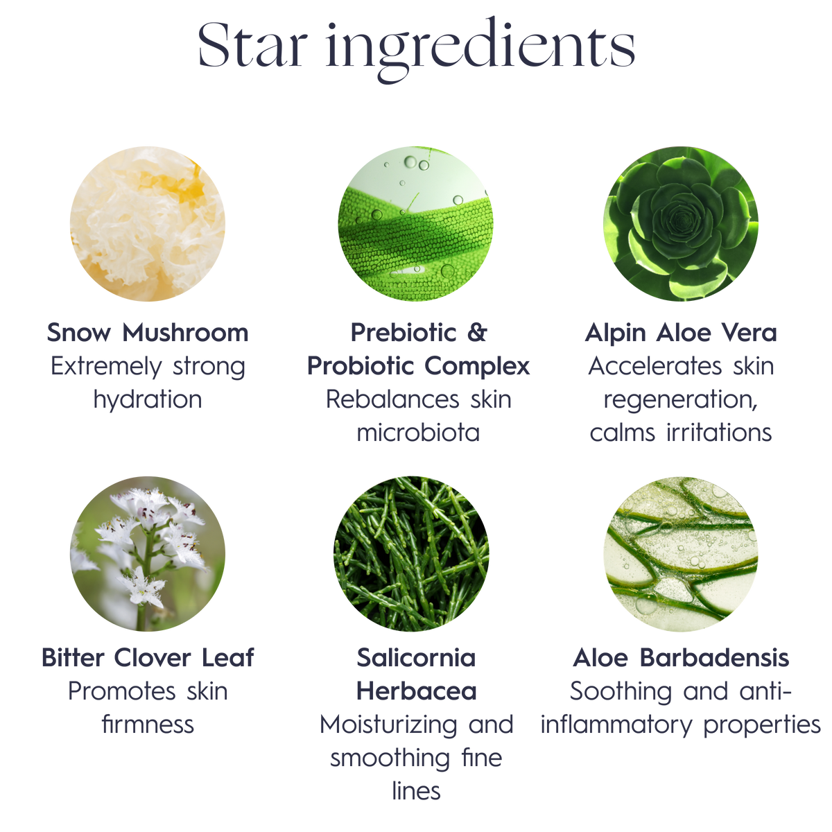 NATURAL DETOX replenishing face mask 50ml